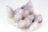 Cactus Quartz (Amethyst) Crystal Cluster - South Africa #206195-1